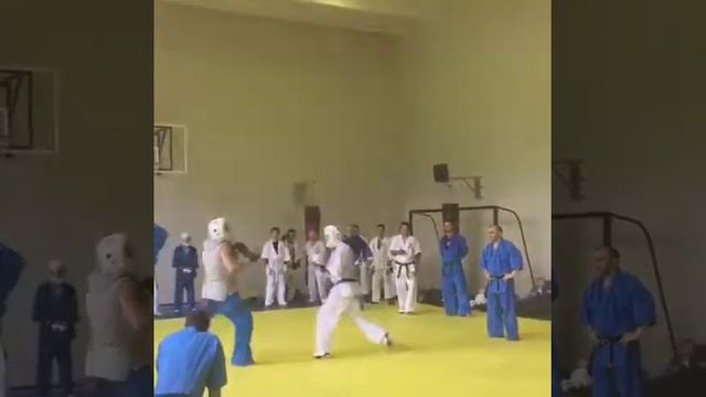 Аттестация КУДО. Moscowlions смотреть онлайн