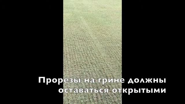 Вы спрашивали - мы рассказываем! Готовим грин к игровому сезону смотреть онлайн