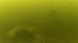 Старинная Мельниц. Крутогорье, Липецкая область 2020 г.