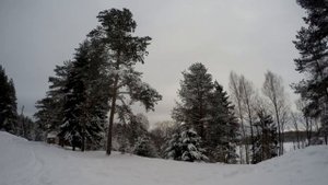 Охота на тетерева зимой. Охота на лунках. Ружье ТОЗ-87.