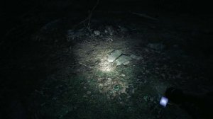 Предварительный обзор Blair Witch. А ты бы прошел до конца?