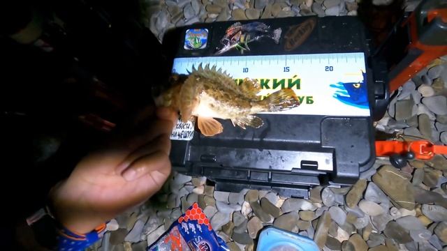 Половили ершей и гвоздь программы Тёмный горбыль?Рыбалка в Крыму