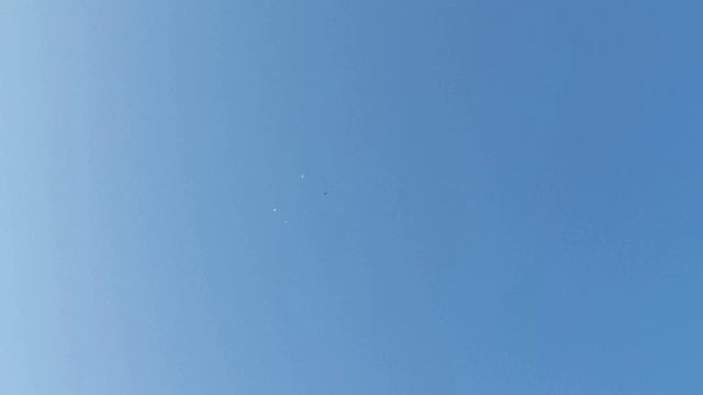 1 января 2020 г. С новым годом!!! Гон, атака хищника, андижанские голуби смотреть онлайн