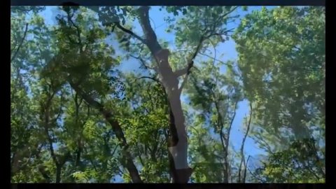 Александр Форштейн - Вечная память