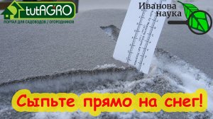 САМАЯ ПЕРВАЯ ПОДКОРМКА - ПО СНЕГУ. Чернение снега. Сыпьте золу прямо по снегу.