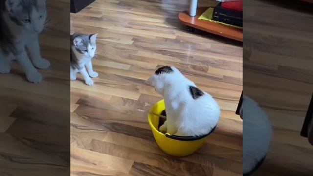 ты лампочку вкрутил? ага!