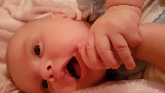 А он жует свой орбит без сахара смотреть онлайн