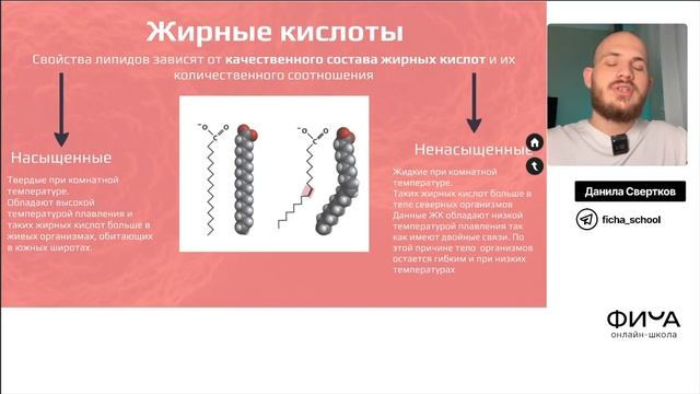 Липиды | ЕГЭ по биологии 2024 | ФИЧА смотреть онлайн