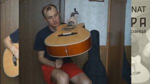 Flight mod F-230C NAT (Гитара для новобранца)