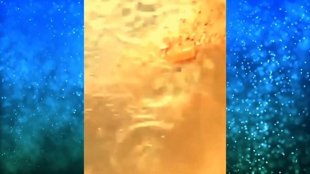 То что эта КРЫСА сделала во время HAB0ДHEHИЯ заслуживает огромного уважения! смотреть онлайн