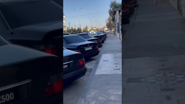 Mercedes-Benz club #mercedes #benz #car #sportcar #amg #w124 #w211 #w140 смотреть онлайн