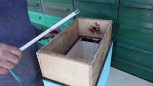 обзор 145 корпуса для 6-ти рамочника и днища на 230 корпус, в деталях