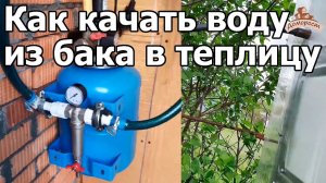Как я сделал систему полива