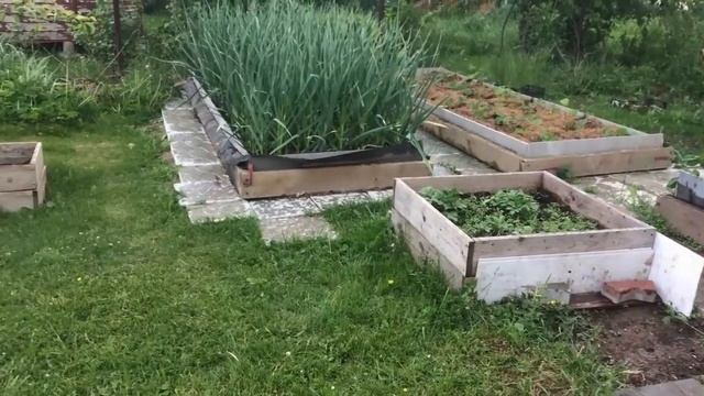 КОГДА поливать растения в ОТКРЫТОМ ГРУНТЕ? смотреть онлайн