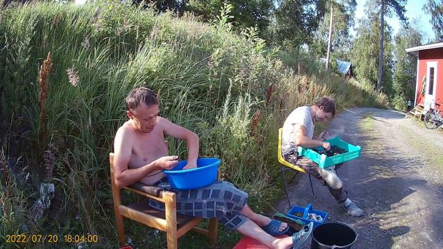 ГДЕ СДАТЬ ЧЕРНИКУ В ЛАЙТИЛЕ #rantamarjat // ФЕРМА Ranta Marjat в Лайтиле #финляндия #СЕЗОННАЯРАБОТА