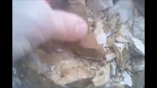 археологические находки Археология раскопки в мелу в  карьере
