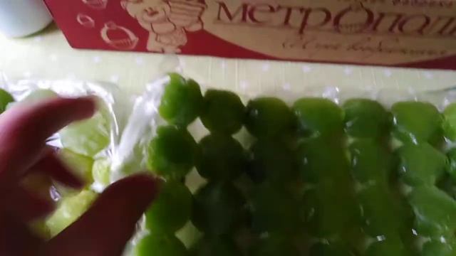 Алоэ Столетник-замечательнныйдоктор.