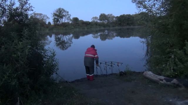 Ловля карпа на горох\ Пруд Синяевский\Горох рулит\