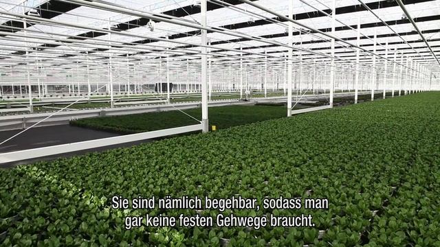 Perfekter innerbetrieblicher Transport dank ErfGoedVloer смотреть онлайн