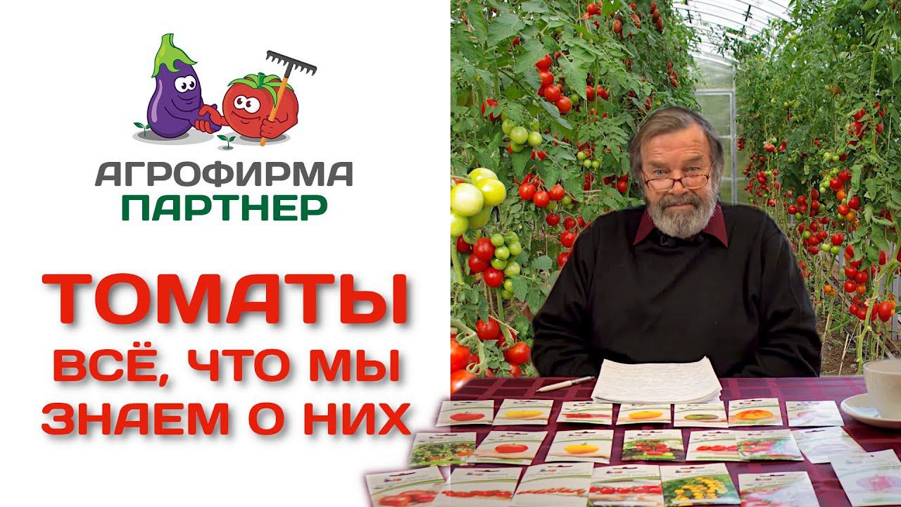 Томаты. Все, что мы знаем о них. Лекция Н. П. Фурсова
