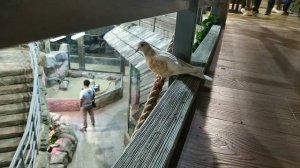 Обитатели Тульского Экзотариума