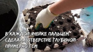 Не выкидывайте лотки из-под яиц. Покажу, как я их использую у себя в огороде не по назначению