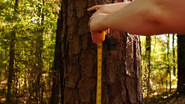 How to Apply a Systemic Insecticide Root Drench | DoMyOwn.com смотреть онлайн