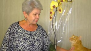 РАЗБИРАЕМ КОРНИ Орхидеи СРАЗУ ПОСЛЕ ПОКУПКИ!!! ПОЧЕМУ?  РОЗОВЫЕ ЗАЛИТЫЕ КОРНИ Орхидеи!!!