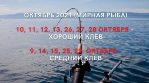ОТЛИЧНЫЕ ДНИ РЫБАЛКИ! Осенний лунный календарь рыбака, прогноз клева на сентябрь, октябрь, ноябрь
