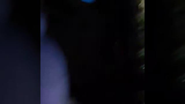 Sea life centre blackpool reveiw & prices merlin ths power sisters смотреть онлайн