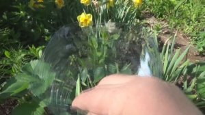 Простая опора для клубники из пластиковой бутылки своими руками