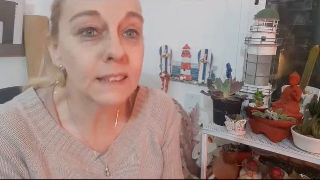 QUÉ SON LAS SUCULENTAS?... lo sabéis? Seguro que algún detalle os falta, aquí os cuento de todo!! смотреть онлайн