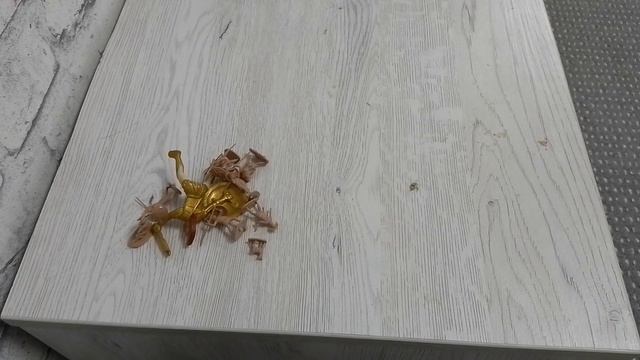 обзор на спартанцев