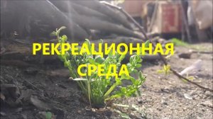 "Окружающая среда" в туризме.  Характеристика типов зон.