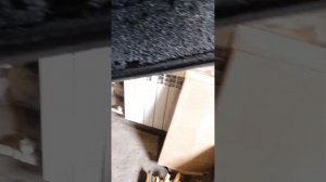 Топим котёл ПОЛЬСКАЯ ЖАРА