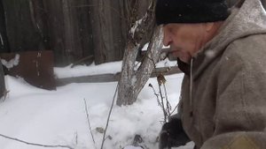 Легко поймать зайца капканом в собственнос саду