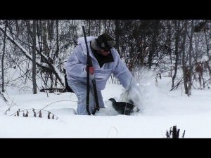 Охота на тетерева зимой на лунках. Ловлю косача руками!!!