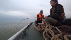 Ловля Желтопёрой камбалы на о.Сахалин! Первый выход в залив.