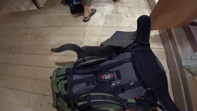 Другая Абхазия 2020. #1 Пример будет? смотреть онлайн