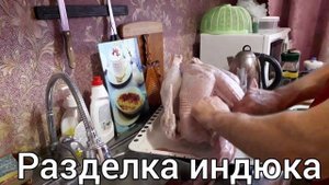 Забой индюка в домашних условиях.