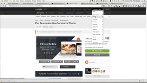How To (Auto) Update Themeforest Wordpress Themes - Envato WordPress Toolkit