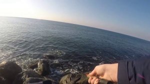 Ловля саргана на пилькер в январе