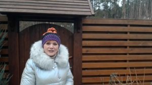 Гортензия. Особенности ухода.