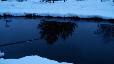 Форелевая рыбалка.