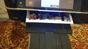 Epson STYLUS PHOTO  TX-800FW