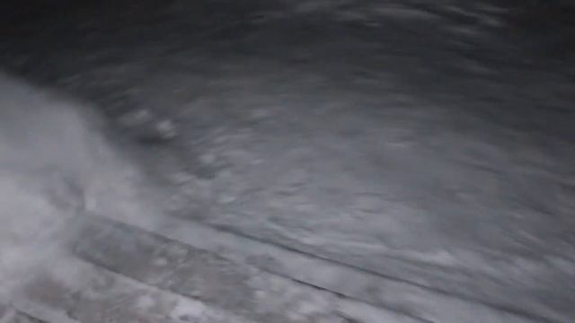 Кот Степан смотреть онлайн