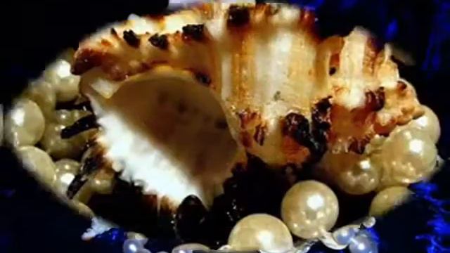 Копия видео "ЖЕМЧУЖИНЫ и РАКОВИНЫ  муз Acid Jeremy Black автор клипа Зоя Боур-Москаленко" смотреть онлайн