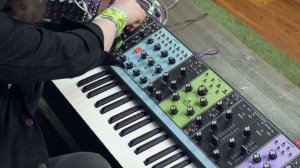 Moog Matriarch + Moog DFAM | Demo