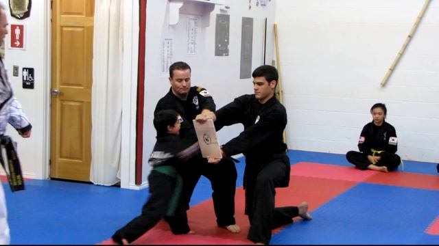 6 Yr Old Breaks Board смотреть онлайн