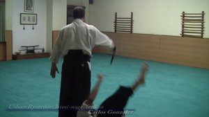 Aikido, Ushiro Ryotedori Irimi-nage Tenkan, Carlos González